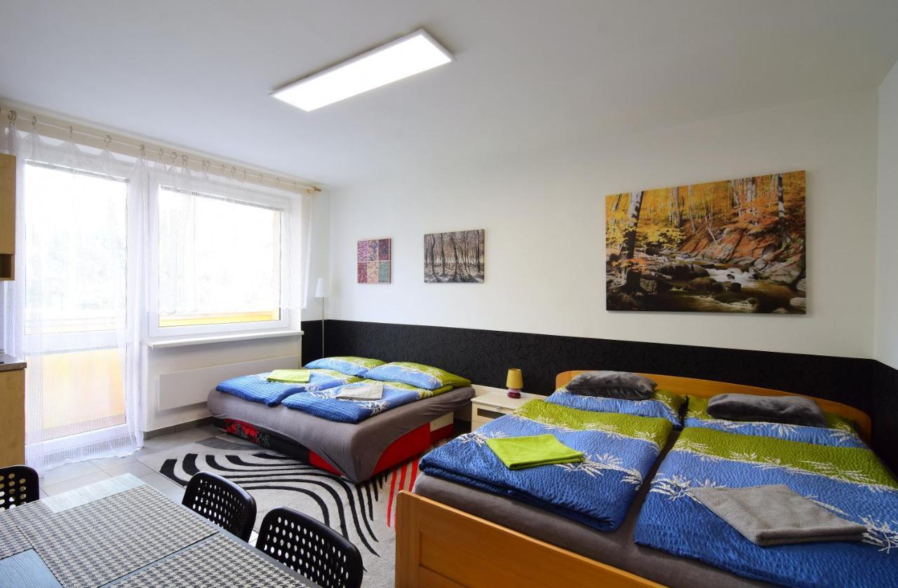 Veronika Apartment Trojanovice